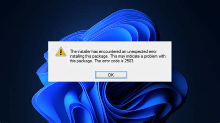 Screenshot of the error from the output tab