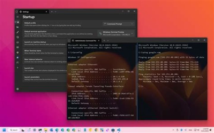see my terminal