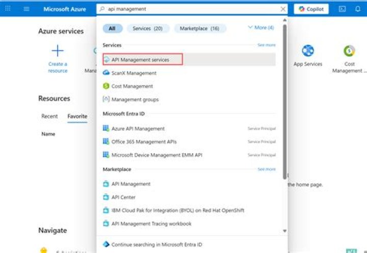 Select API Manager menu