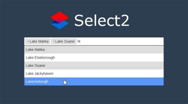 select2