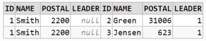 SelfJoinResult
