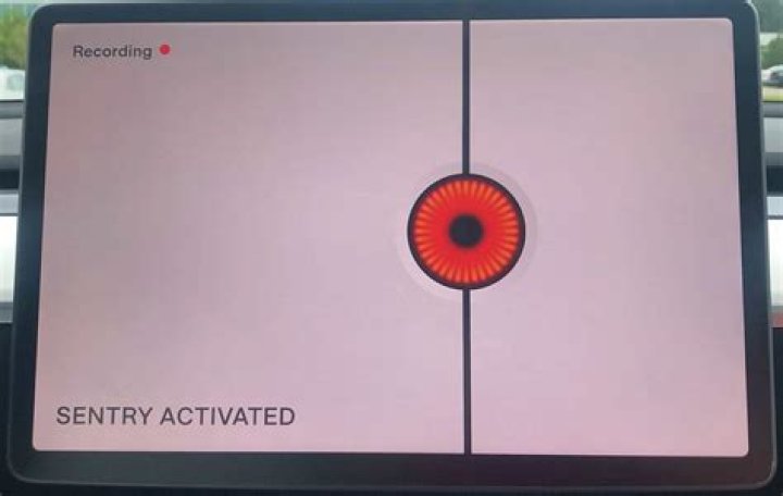 Sentry screen