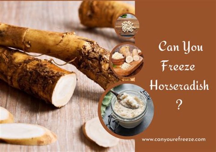 Should you freeze horseradish?