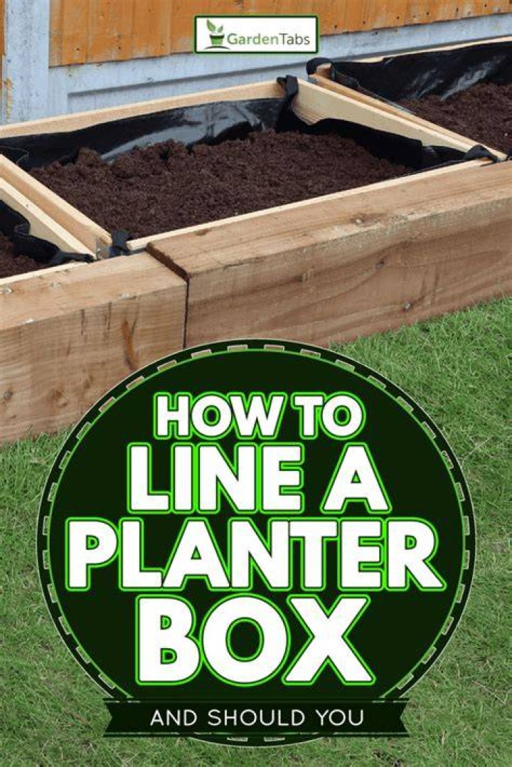 Should you line a wooden planter?