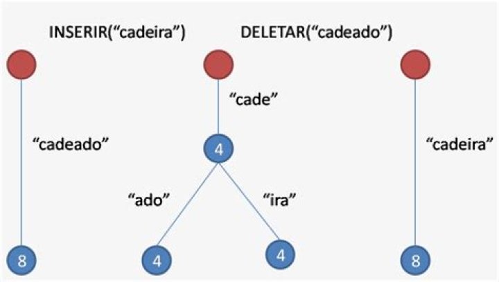 Simple PATRICIA diagram
