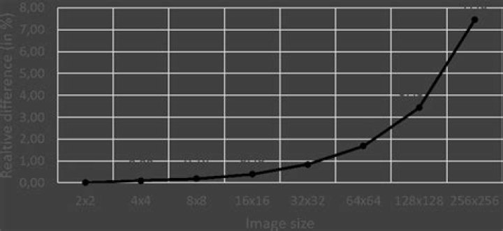 Test image downscaled with the above algorithm