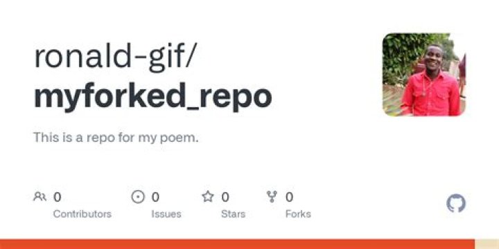 This is my forked repo (Image)