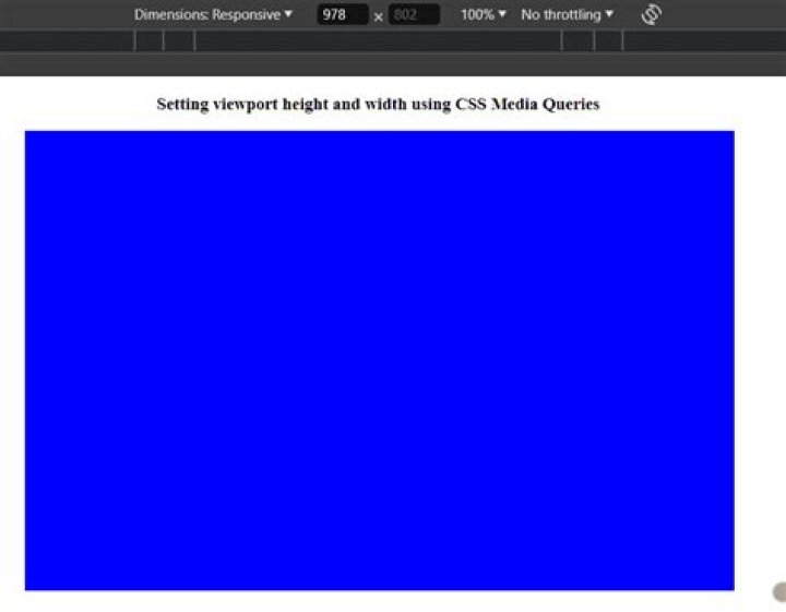 Viewport Width selected