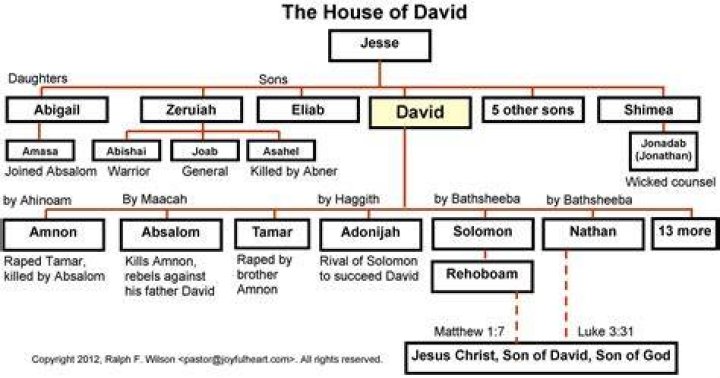 Was mary a descendent of david?