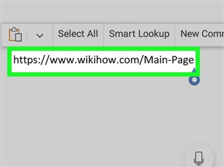 Website URL