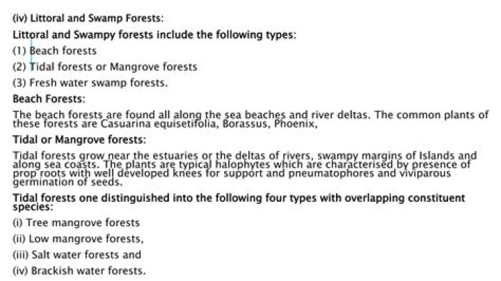 What are littoral forest?