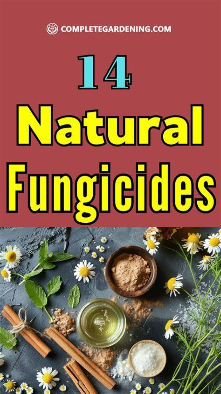 What are natural fungicides?