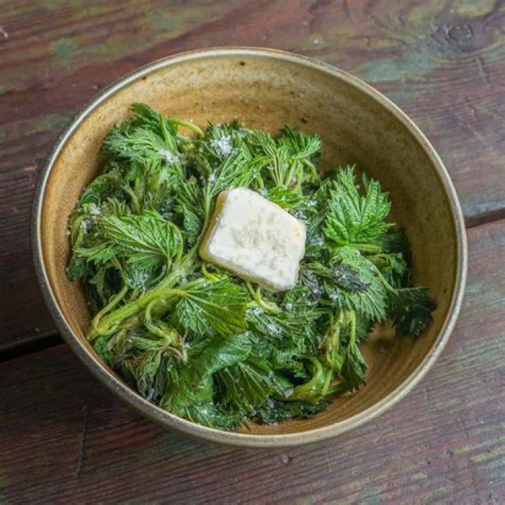 What are nettles food?