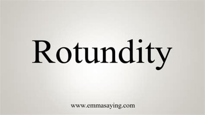 What does rotundity mean?
