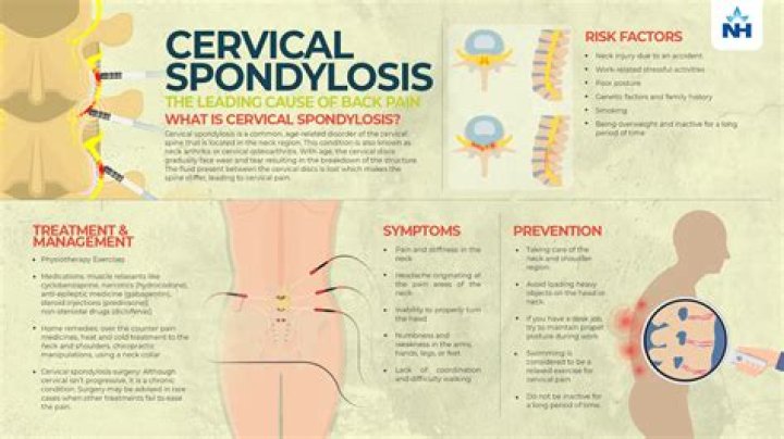 What does spondyl/o mean in medical terms?