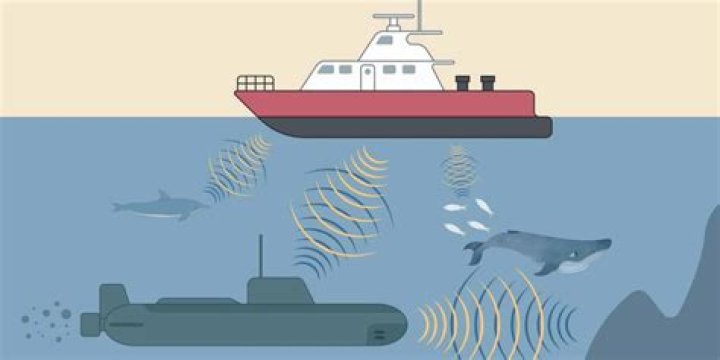 What is a gyrene as in marine?