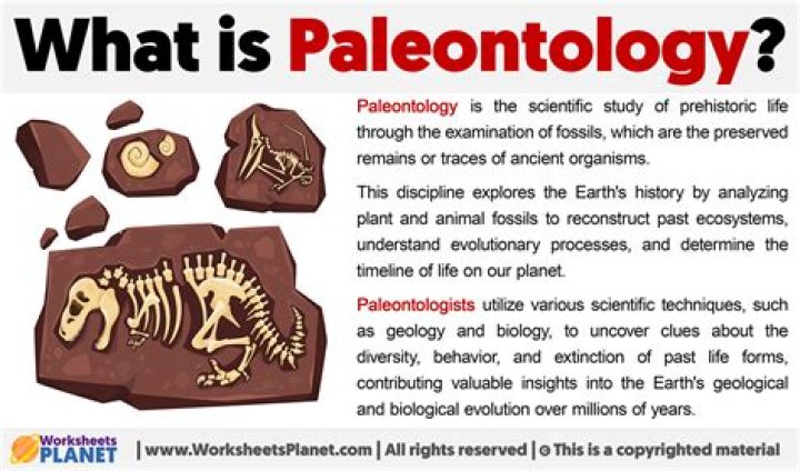 What is an example of paleontology?