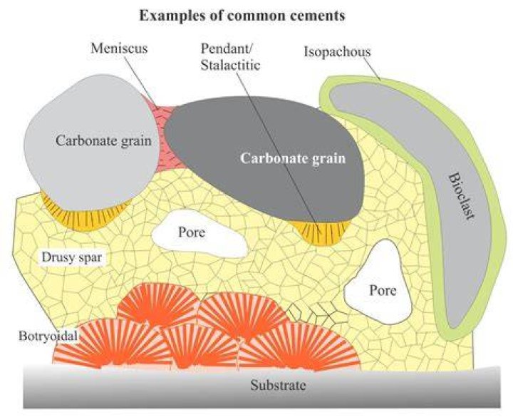 What is carbonate sedimentology?