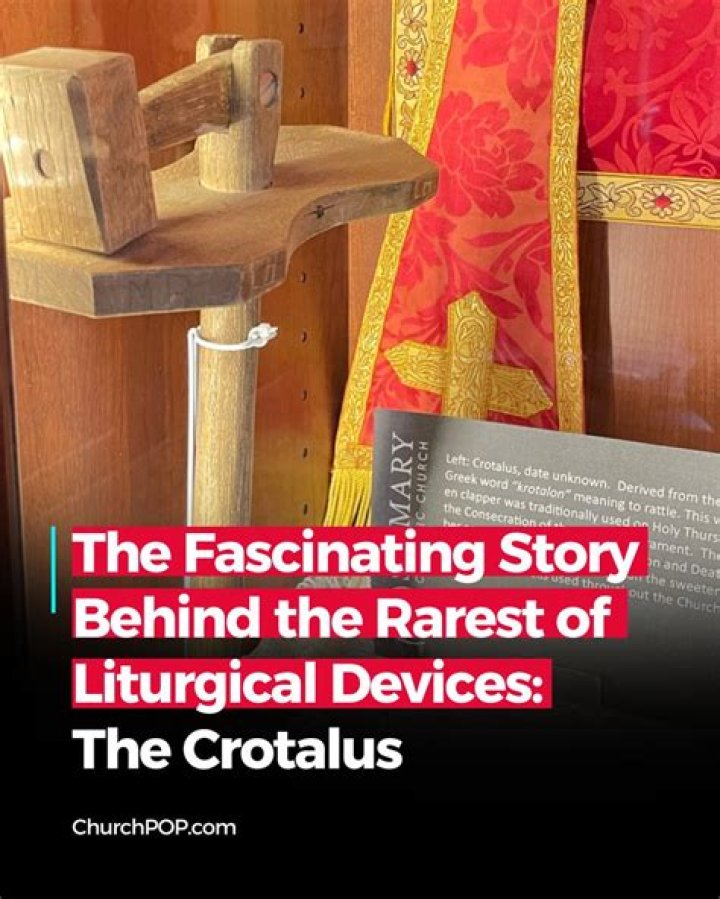 What is crotalus in latin?