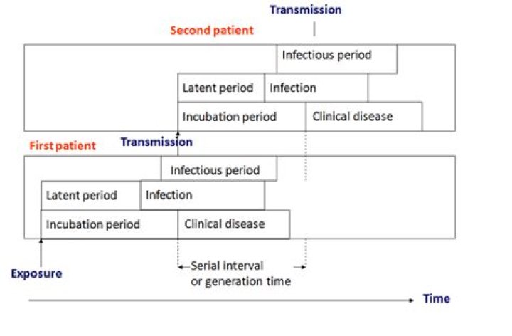 What is the incubation period for salmonella enteritidis?