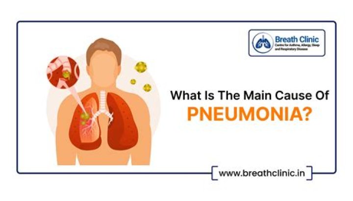 What is the main cause of pneumonia?