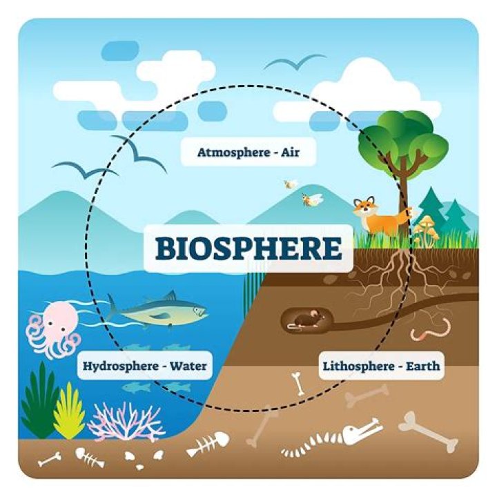 What is the other name for biosphere why is it so called?