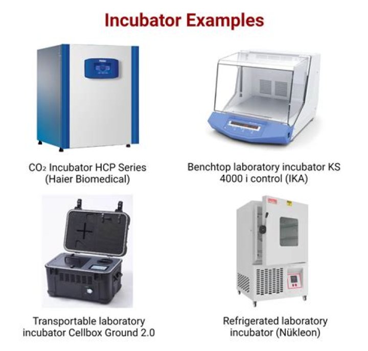 What is the purpose of an incubator?