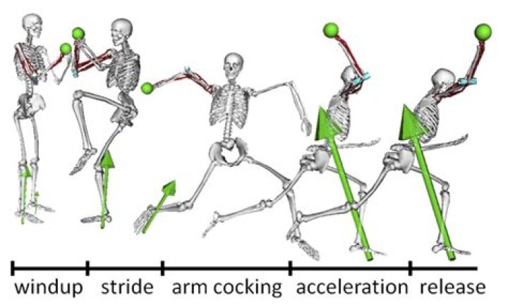 What is the purpose of biomechanics?
