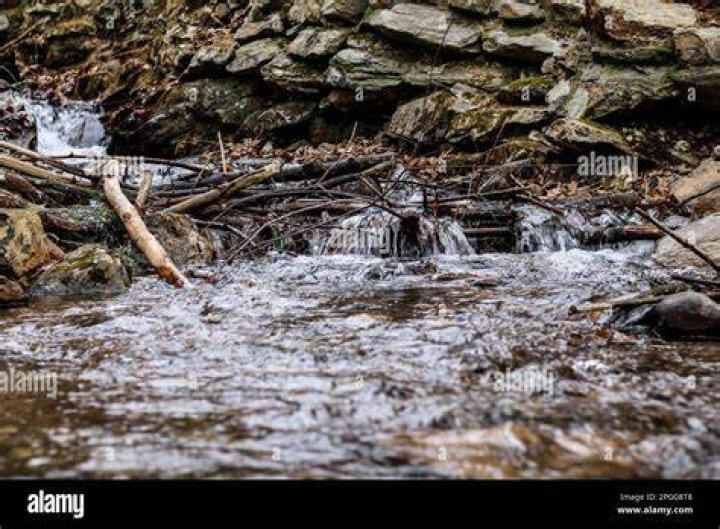 What is the sound of flowing water called?