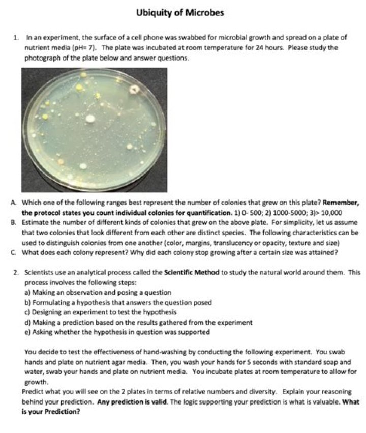 What is ubiquity in microbiology?