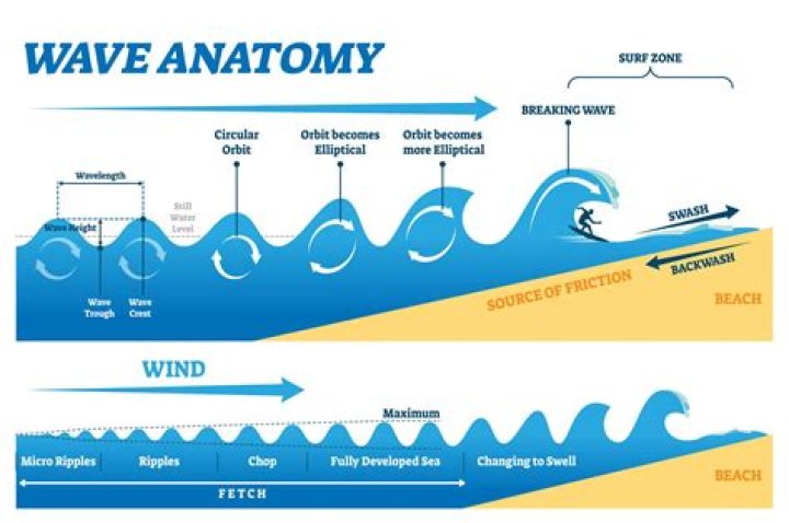 What type of wave is a water wave?