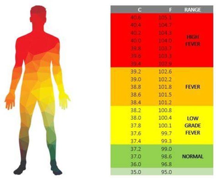 Whats a fever in adults?