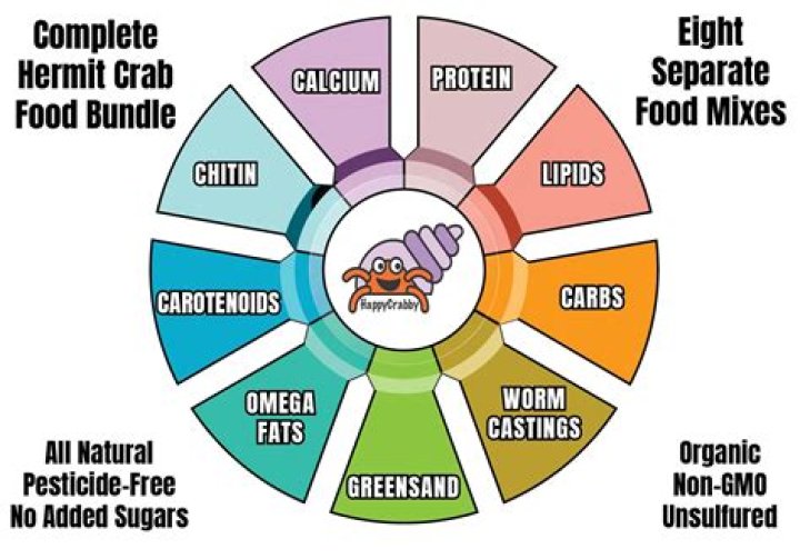 Whats in hermit crab food?