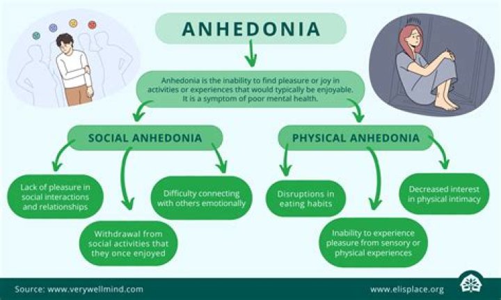 Whats the opposite of anhedonia?
