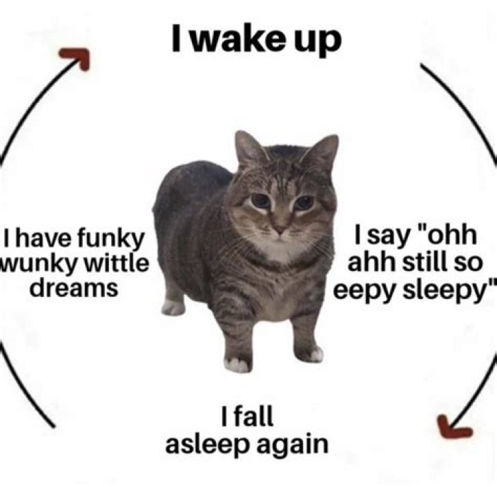 When i wake up i'm gassy?