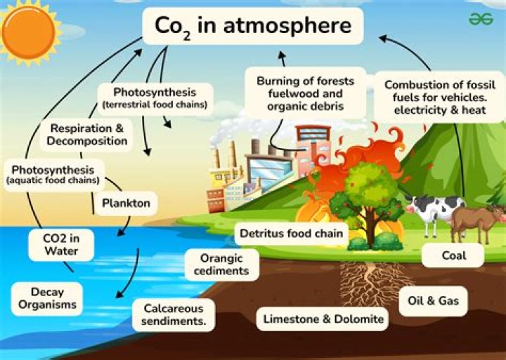 When is carbon stored in the biosphere?