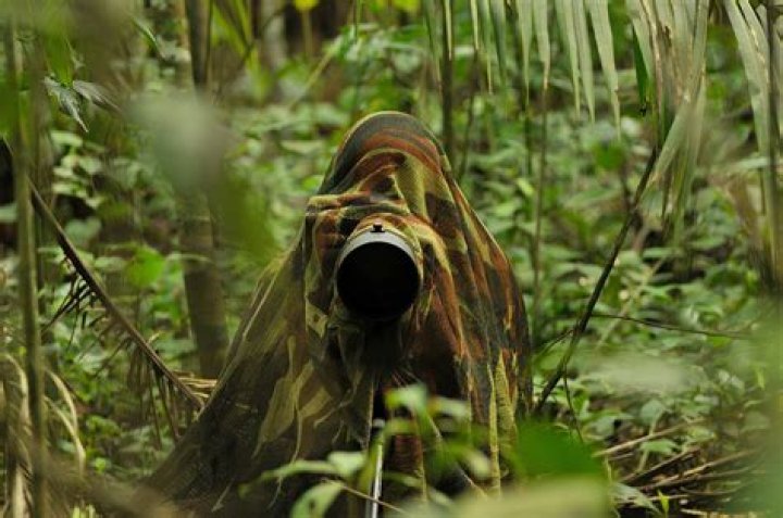 When photographing wildlife the most important thing?