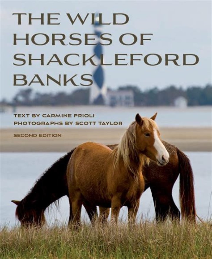 Which end of shackleford banks is better?