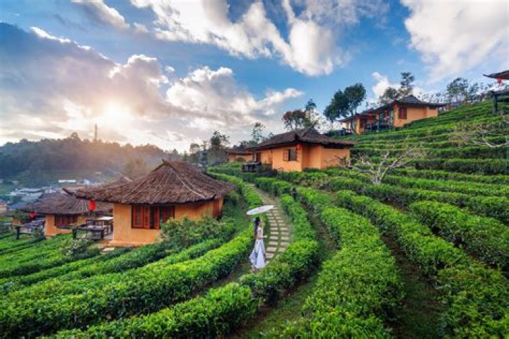 Which is the best time to visit shillong?