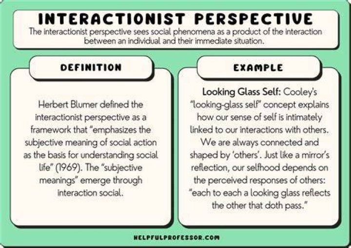 Which of the following best describes the interactionist perspective?