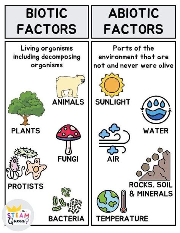 Which of the following is abiotic?