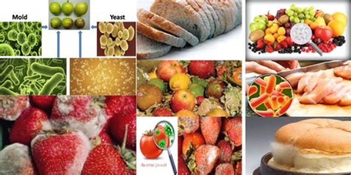 Which preservatives mixed with ready to eat food to keep them from spoiling?
