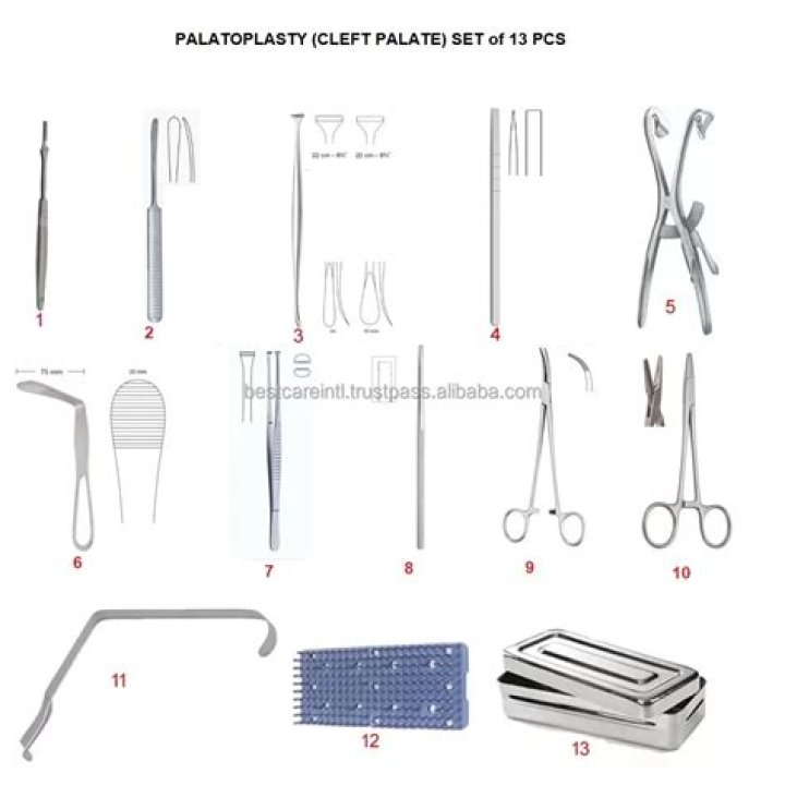 Which tool is used for palatoplasty medical term?