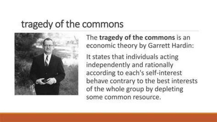 Who coined the term incommensurable?