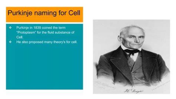 Who coined the term protoplasm?