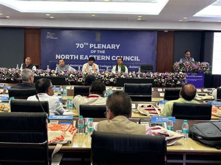 Who is the chairman of north eastern council?