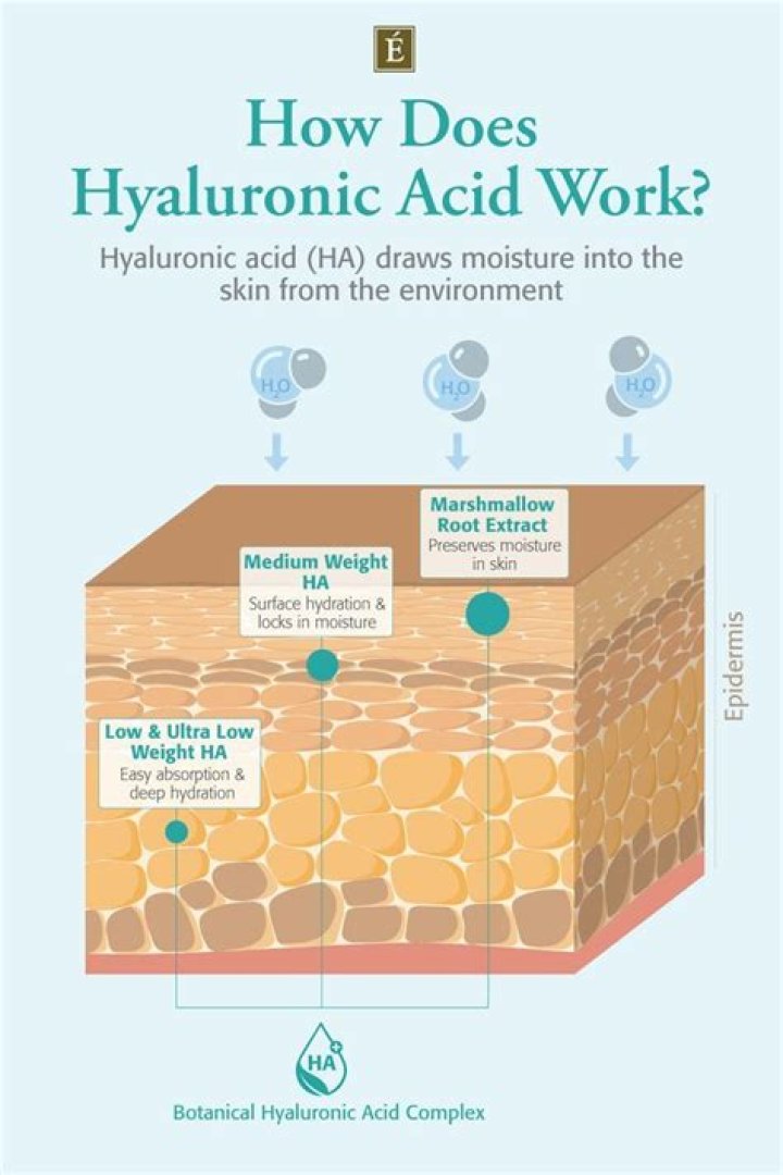Who produces hyaluronic acid?