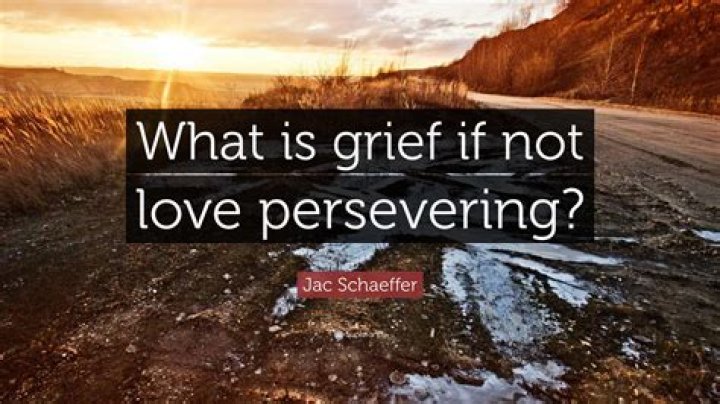 Who said grief is love persevering?