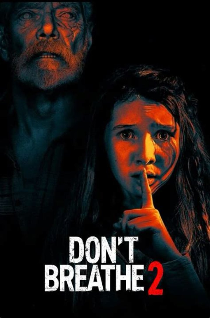 Whos the girl in don't breathe 2?