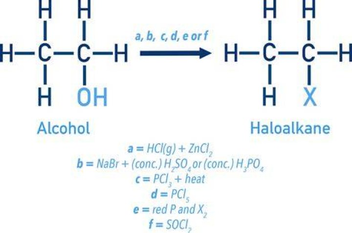 Why are haloalkanes soluble in organic solvents?